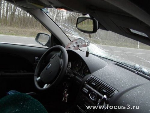ДТП с участием Ford Focus (70 фото) часть-III