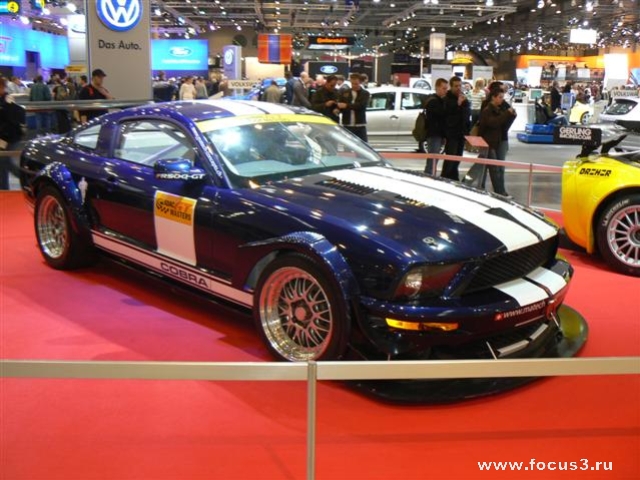 Essen Motor Show 2007 (76 )