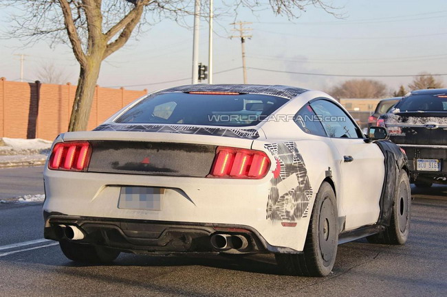 2016 Ford Mustang Shelby GT350 / GT500