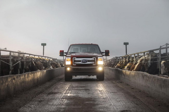 Ford  F-150, F-Series Super Duty  Expedition King Ranch